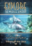 DTOT1-D Dolphins Tribes Of The Sea DVD