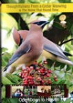 TFAC1-D Thoughtfulness from a Cedar Waxwing DVD